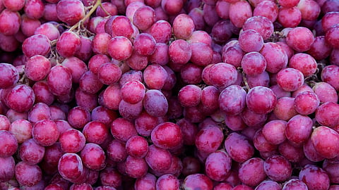 red grapes