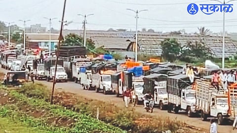 A long queue of vehicles came to sell tomatoes in the market committee on Wednesday.