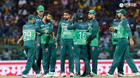 Mohammad Hafeez steps down from PCB Technical Committee