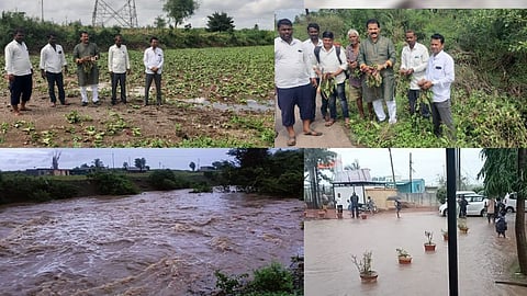 Pune Rain News