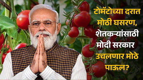 Tomato Prices