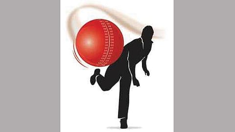 Cricket