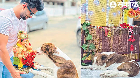 Julie the dog bowing to Ganaraya being taken for immersion. In the second photo, Julie sits emotionally beside an empty tent.