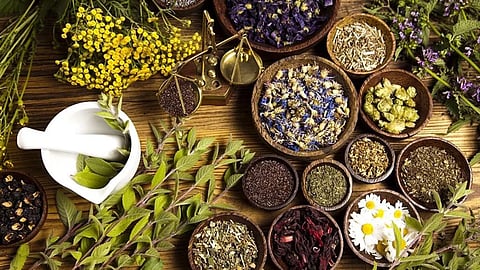 natural herbs