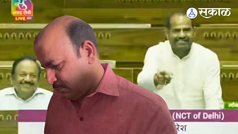 BJP MP AND DANISH ALI