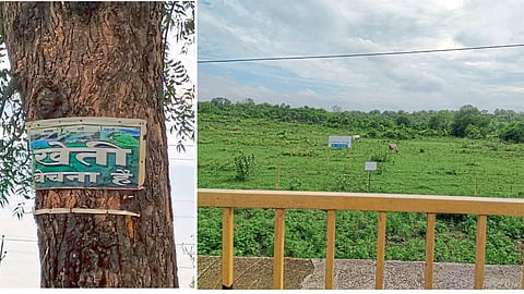 Agriculture Selling