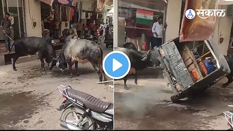 Video Viral