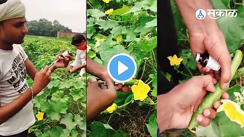 Viral Video
