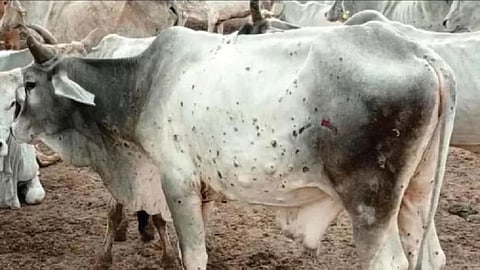 ahmednagar