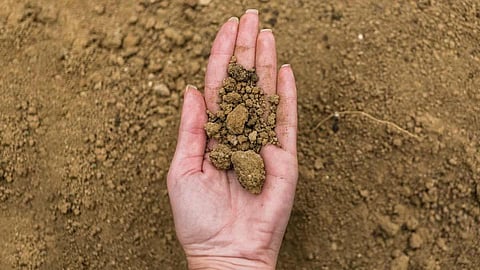 soil