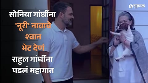 congress Rahul Gandhi gift a dog named Nuri to Sonia Gandhi Know what happend