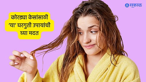 Dry-Frizzy Hairs