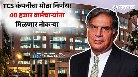 TCS Hiring
