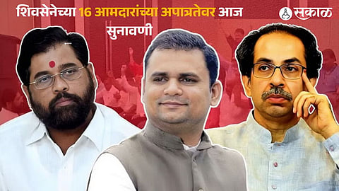 Mla Disqualification Case