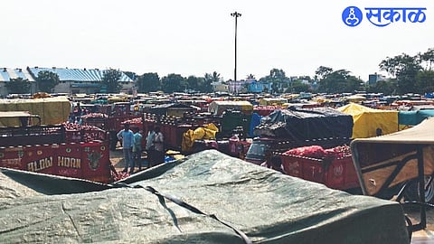 Record arrival of onions in market committee in Nampur on Tuesday