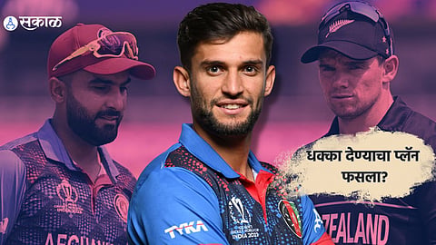 New Zealand Vs Afghanistan
