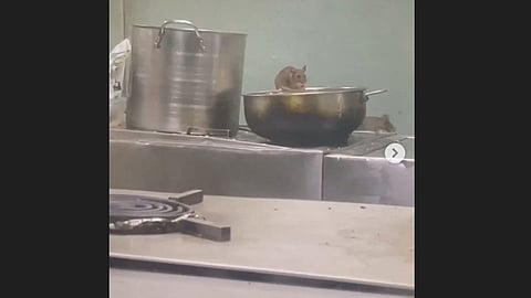 mouse in railway pantry car