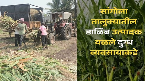 solapur
