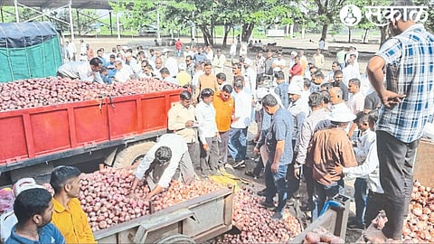 Arrival of red onion in market committee on Tuesday.