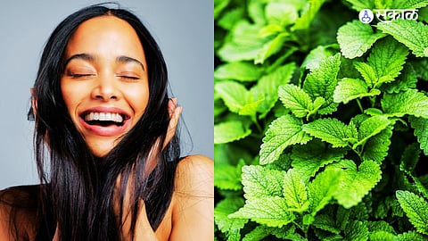 mint hair pack