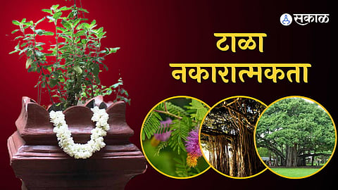 Vastu Tips टाळा नकारात्मकता