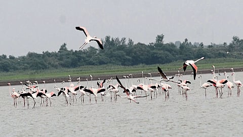 solapur