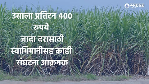 swabhimani farmer sugarcane crop rate sugar factory rate dispute agriculture