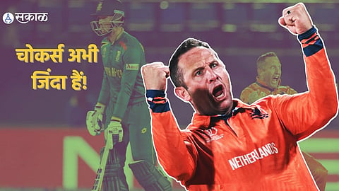 SA vs NED