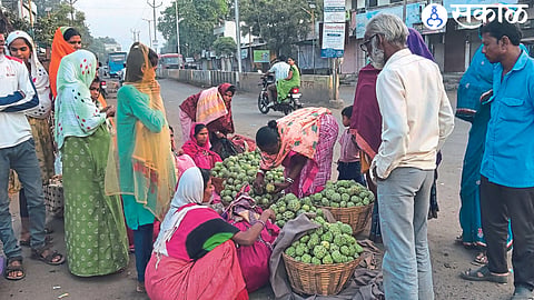 Sitaphales from remote areas for sale. In the second picture, the rush to buy sitafal.