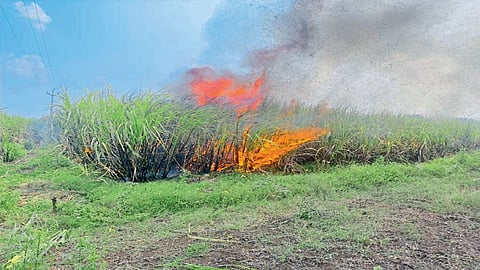jalna