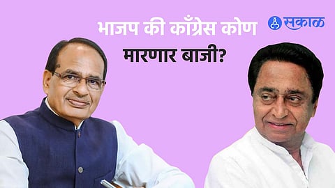 MP Election Survey: