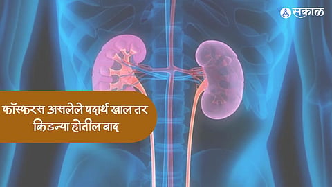 Healthy Diet : फॉस्फरस असलेले पदार्थ खाल तर किडन्या होतील बाद, या पदार्थांचे सेवन वाढवेल किडनीचे आयुष्य