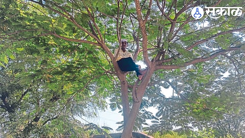 Urvesh Salunkhe sitting on a tree during the agitation.