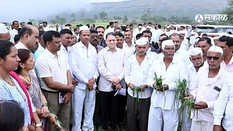 Dilip Walse Patil
