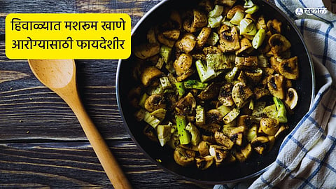Mushrooms Benefits
