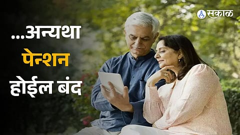 Pensioners have to submit life certificate by November 30, 2023 Check details here