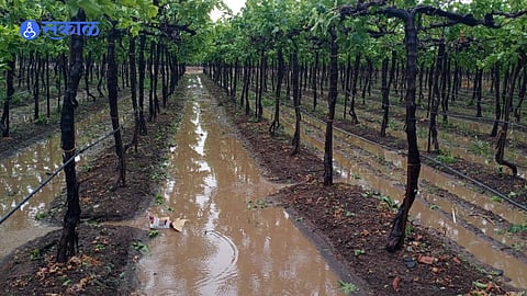 Maharashtra Rain Update