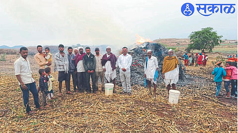 Appa Chindha Goykar's fodder of maize (kadba) burnt due to lightning in Padgan Shivara.