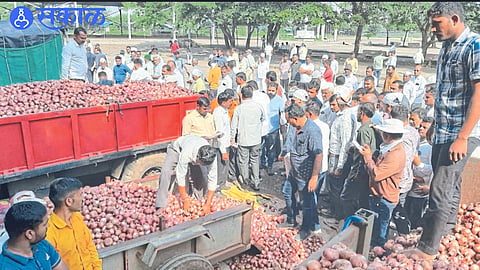 market price of onion continues to fall nashik news