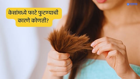 Hair Split Ends