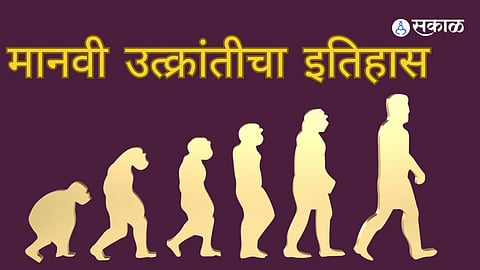 Human evolution