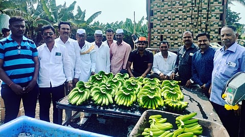 rajani banana farmers export their banana in iraq 30 farmers got benefit