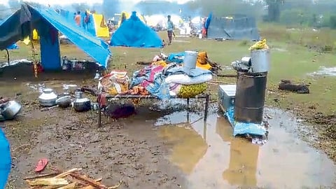 crop damage due to satara rain sugarcane worker also hit farmer agriculture