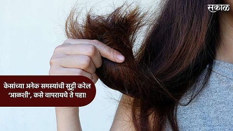 Hair Care