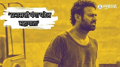 Salaar Part 1 Ceasefire Prabhas Bollywood Actor Movie
