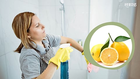 Lemon Hacks
