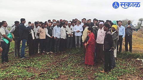 While inspecting the onion field affected by hail in Chandwad taluka, MLA Dr. Rahul Aher, Collector Jalaj Sharma, District Magistrate Chandrasekhar Deshmukh etc.