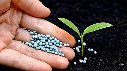 Fertilizer