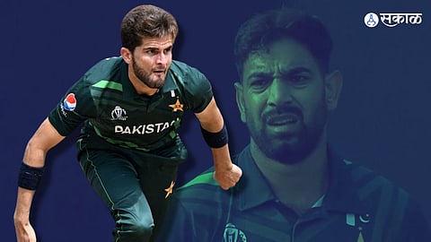 Shaheen Afridi