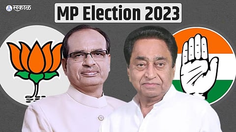 mp election